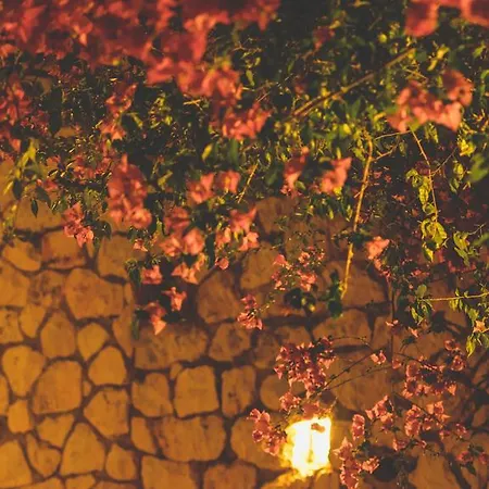 Althea Lefkada Daire