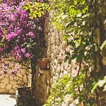 Althea Lefkada