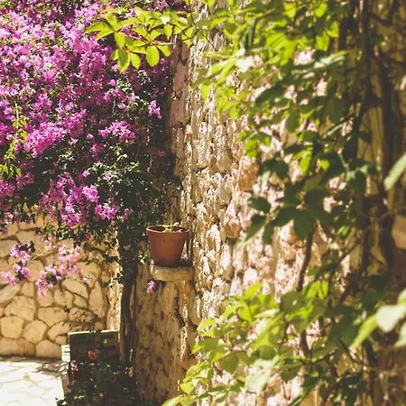 Althea Lefkada